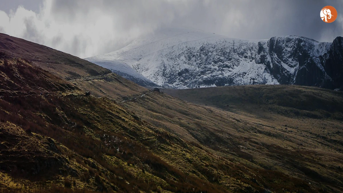 UK का FTSE 100 अक्टूबर 2023 में रिकॉर्ड उच्च पर UK का FTSE 100 अक्टूबर 2023 में रिकॉर्ड उच्च पर