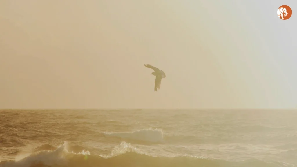 Virgin Atlantic की नई सीधी उड़ान: लंदन से सियोल 2026 में