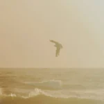 Virgin Atlantic की नई सीधी उड़ान: लंदन से सियोल 2026 में