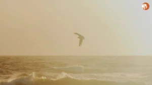 Virgin Atlantic की नई सीधी उड़ान: लंदन से सियोल 2026 में