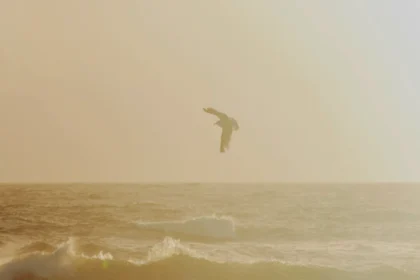 Virgin Atlantic की नई सीधी उड़ान: लंदन से सियोल 2026 में