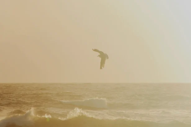 Virgin Atlantic की नई सीधी उड़ान: लंदन से सियोल 2026 में