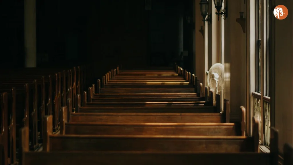 हर्वर्ड प्रोफेसर और पेललेट गन घटना: क्या हुआ और इसका प्रभाव?