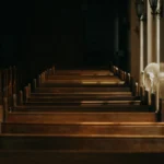 हर्वर्ड प्रोफेसर और पेललेट गन घटना: क्या हुआ और इसका प्रभाव?