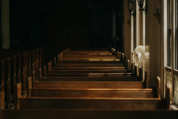 हर्वर्ड प्रोफेसर और पेललेट गन घटना: क्या हुआ और इसका प्रभाव?