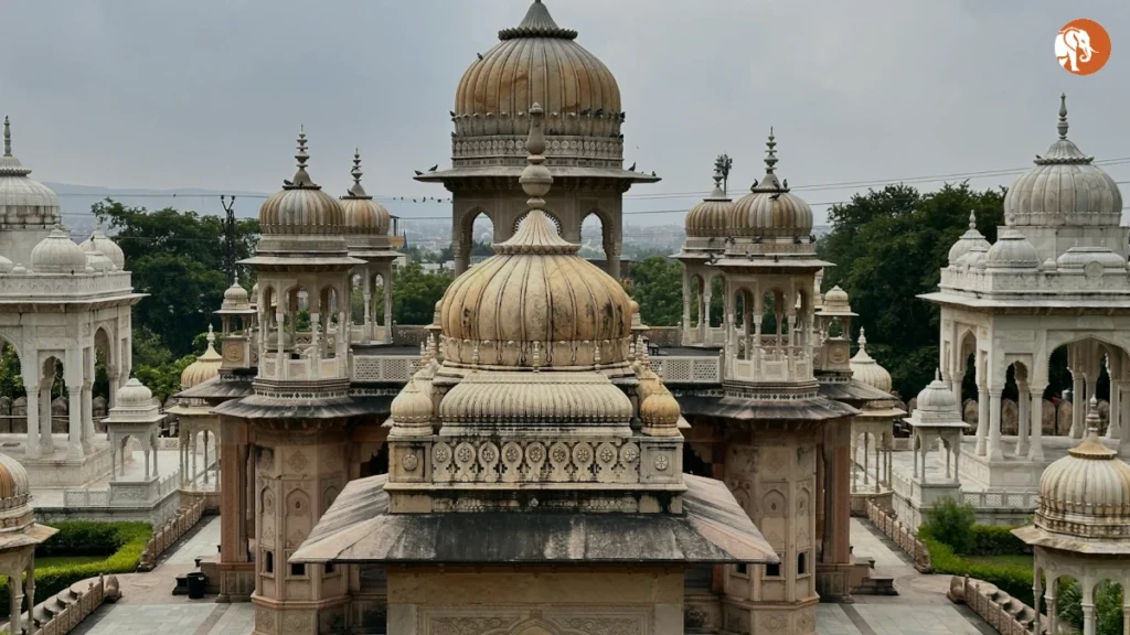 भारतीय पैरा एथलीटों की ऐतिहासिक 22-सुवर्ण पदक जीत के पीछे की कहानी