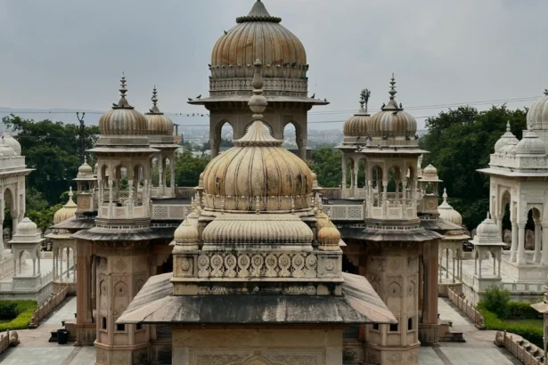 भारतीय पैरा एथलीटों की ऐतिहासिक 22-सुवर्ण पदक जीत के पीछे की कहानी