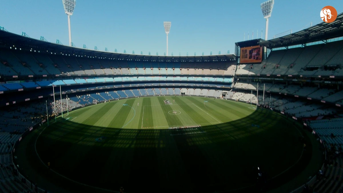 महिलाओं के क्रिकेट स्टेडियमों में सुधार: एक नई दिशा महिलाओं के क्रिकेट स्टेडियमों में सुधार: एक नई दिशा