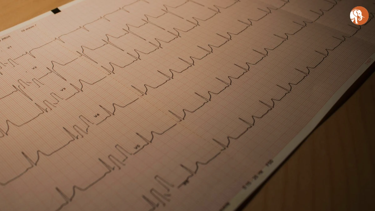 हैदराबाद में मुफ्त स्वास्थ्य शिविर: एक नई दिशा