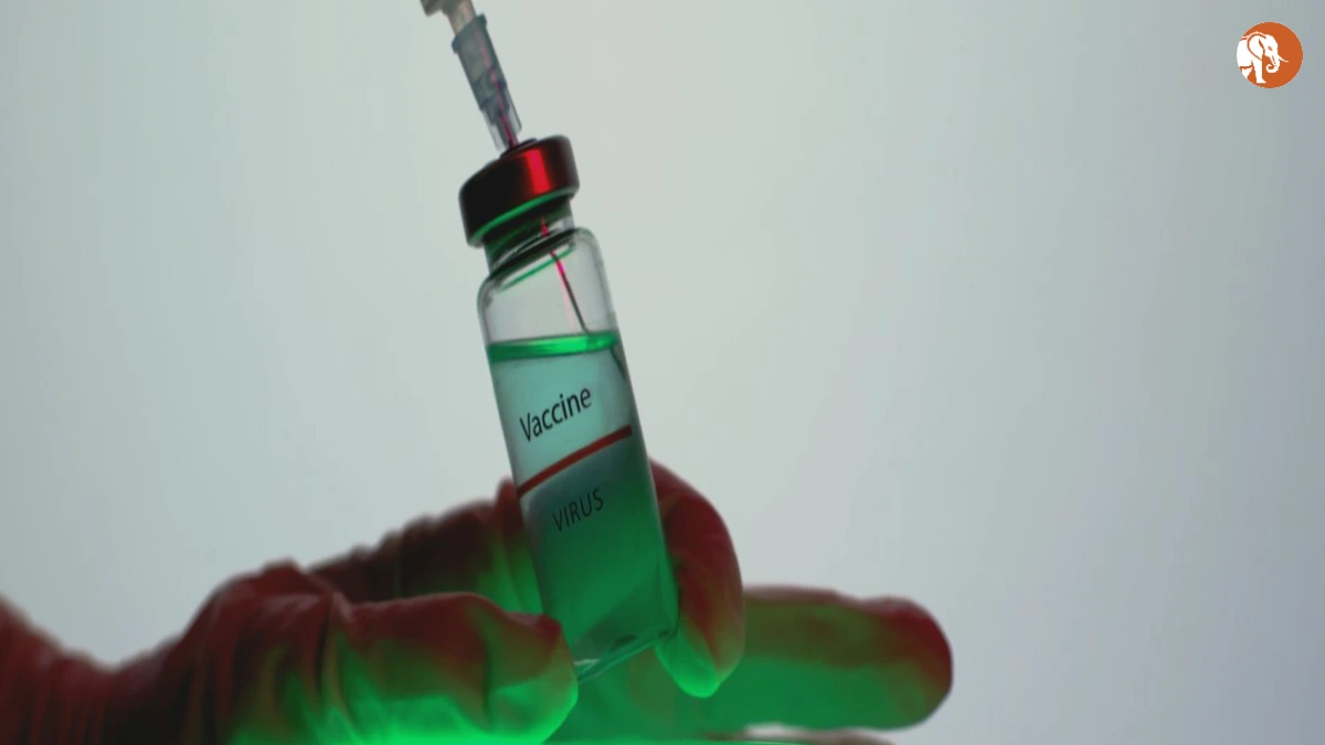 ज़ायनिच: भारत में मल्टी-ड्रग प्रतिरोध के खिलाफ नई एंटीबायोटिक का विकास ज़ायनिच: भारत में मल्टी-ड्रग प्रतिरोध के खिलाफ नई एंटीबायोटिक का विकास