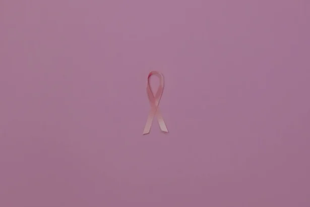 EpiClim Dataset: स्वास्थ्य पर जलवायु परिवर्तन का प्रभाव