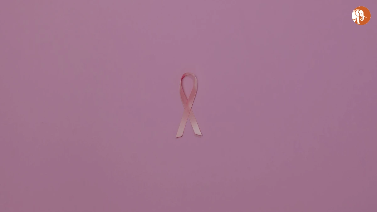 EpiClim Dataset: स्वास्थ्य पर जलवायु परिवर्तन का प्रभाव