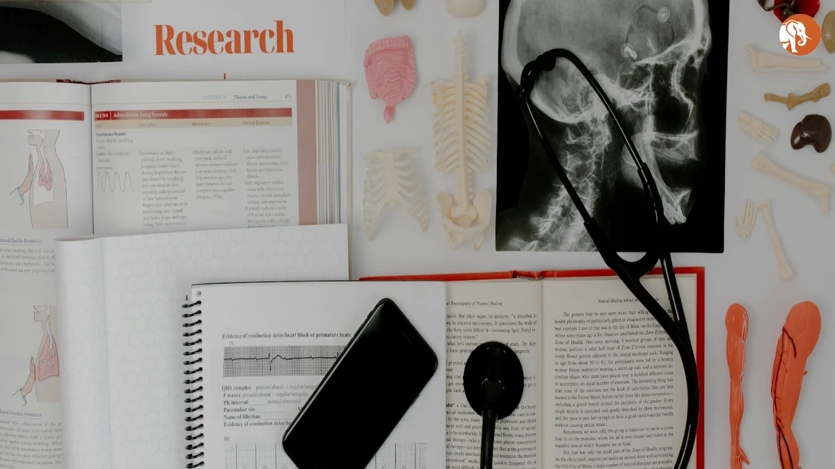 Bareilly में रहस्यमयी बुखार की जांच: फर्जी क्लिनिक और स्वास्थ्य धोखाधड़ी का मामला