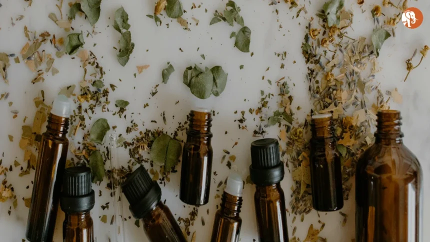 FICCI HEAL 2025: भारत के स्वास्थ्य के लिए एक महत्वपूर्ण इवेंट