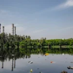 दिल्ली में बायोमेडिकल वेस्ट प्रबंधन के नवीनतम पहल