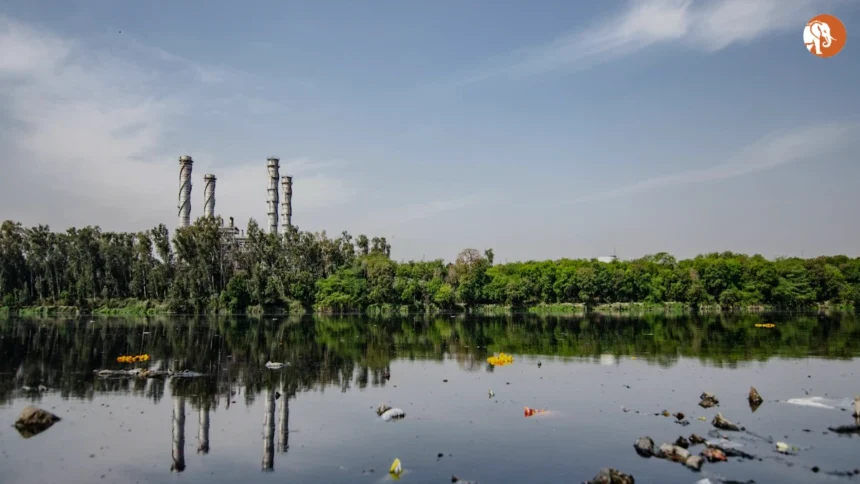 दिल्ली में बायोमेडिकल वेस्ट प्रबंधन के नवीनतम पहल