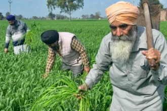खाद्य सुरक्षा योजना के तहत फोर्टिफाइड चावल वितरण का दृश्य, जिसमें 81 करोड़ लाभार्थियों को दिसंबर 2028 तक पोषण युक्त चावल मिलेगा | A visual of fortified rice distribution under the food security scheme, providing nutritious rice to 81 crore beneficiaries by December 2028