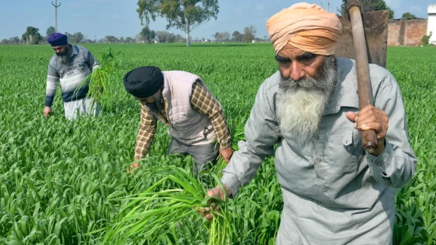 खाद्य सुरक्षा योजना के तहत फोर्टिफाइड चावल वितरण का दृश्य, जिसमें 81 करोड़ लाभार्थियों को दिसंबर 2028 तक पोषण युक्त चावल मिलेगा | A visual of fortified rice distribution under the food security scheme, providing nutritious rice to 81 crore beneficiaries by December 2028